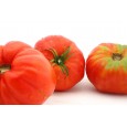 Domata Frescia - Organic Tomato Passata 330gr